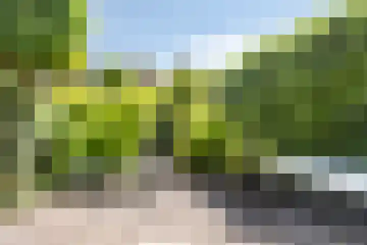 Tweede Reitse Dreef 138 's-Hertogenbosch thumbnail 29