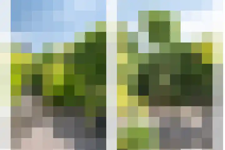 Tweede Reitse Dreef 138 's-Hertogenbosch thumbnail 30