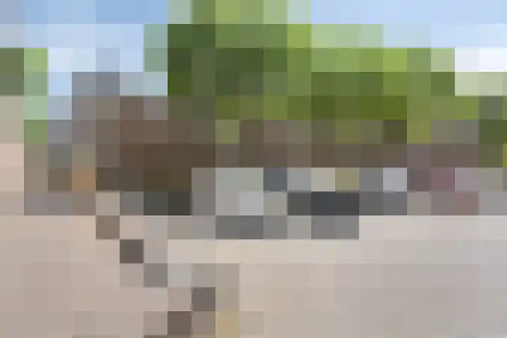 Tweede Reitse Dreef 138 's-Hertogenbosch thumbnail 31