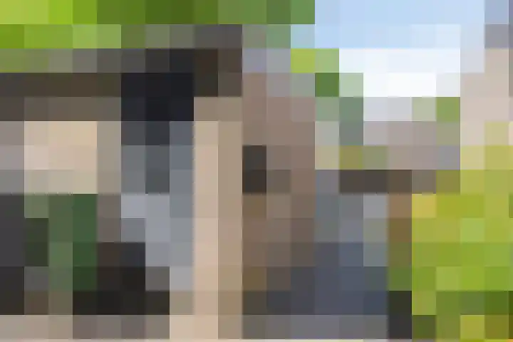 Tweede Reitse Dreef 138 's-Hertogenbosch thumbnail 33