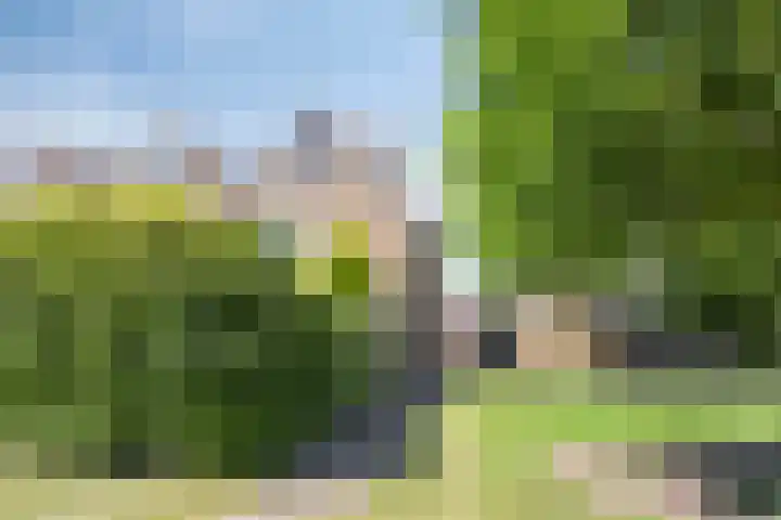 Tweede Reitse Dreef 138 's-Hertogenbosch thumbnail 35