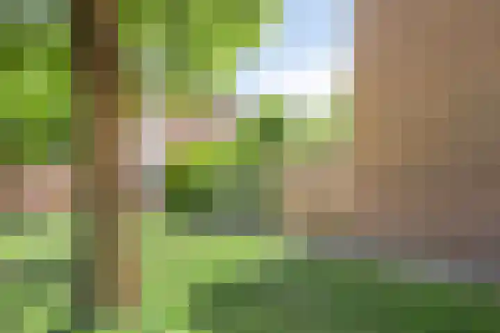 Tweede Reitse Dreef 138 's-Hertogenbosch thumbnail 36
