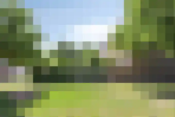 Tweede Reitse Dreef 138 's-Hertogenbosch thumbnail 37