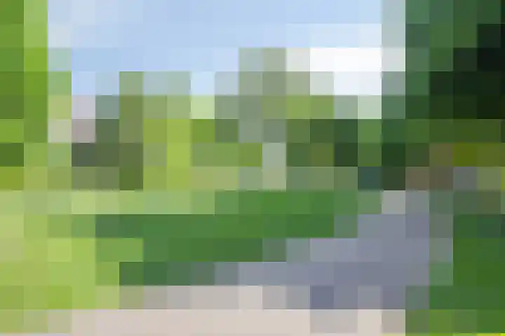Tweede Reitse Dreef 138 's-Hertogenbosch thumbnail 38