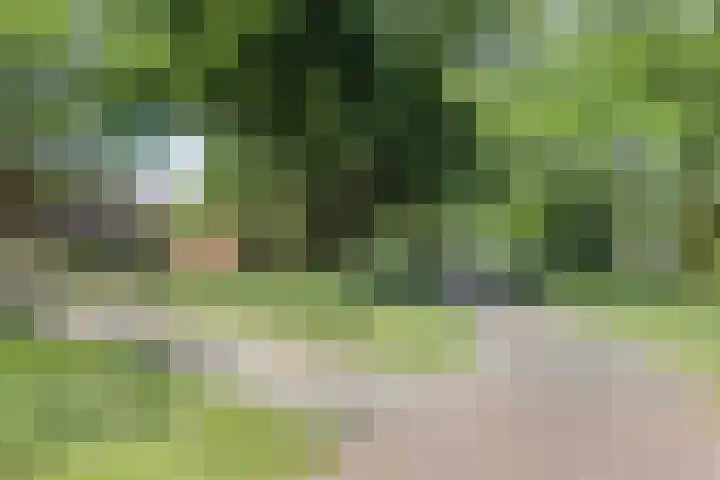 Tweede Reitse Dreef 138 's-Hertogenbosch thumbnail 39