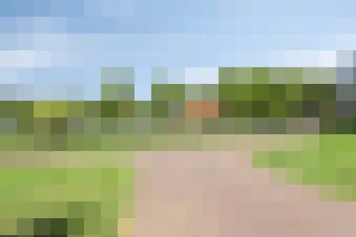 Tweede Reitse Dreef 138 's-Hertogenbosch thumbnail 40