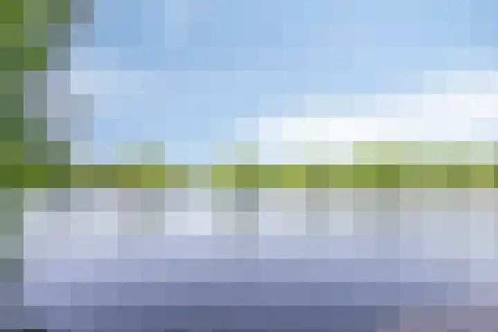 Tweede Reitse Dreef 138 's-Hertogenbosch thumbnail 41
