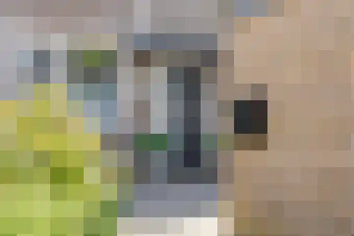 Tweede Reitse Dreef 138 's-Hertogenbosch thumbnail 5