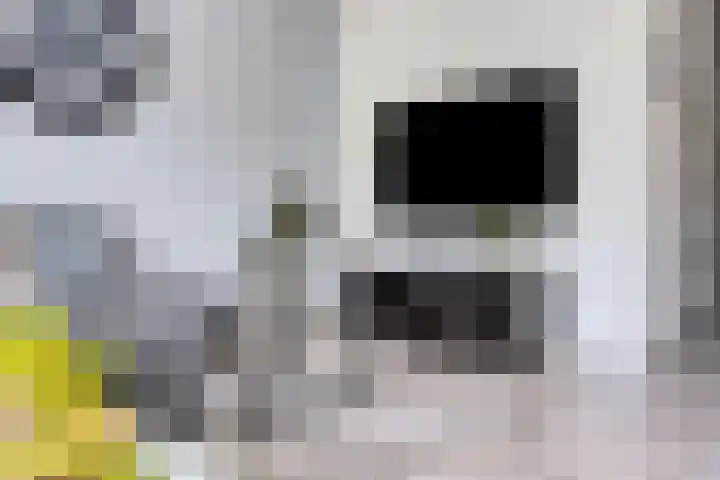 Tweede Reitse Dreef 138 's-Hertogenbosch thumbnail 8
