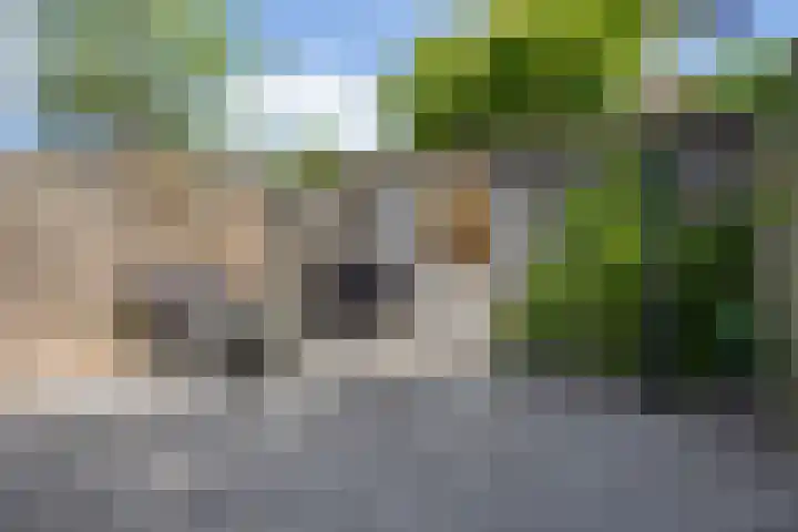 Tweede Rompert 16 's-Hertogenbosch thumbnail 16