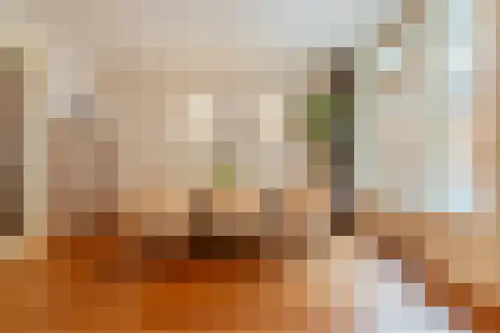 Tweede Schinkelstraat 11 H Amsterdam thumbnail 7