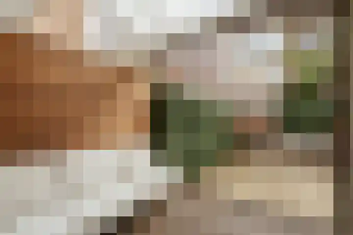 Tweede Schinkelstraat 11 H Amsterdam thumbnail 9