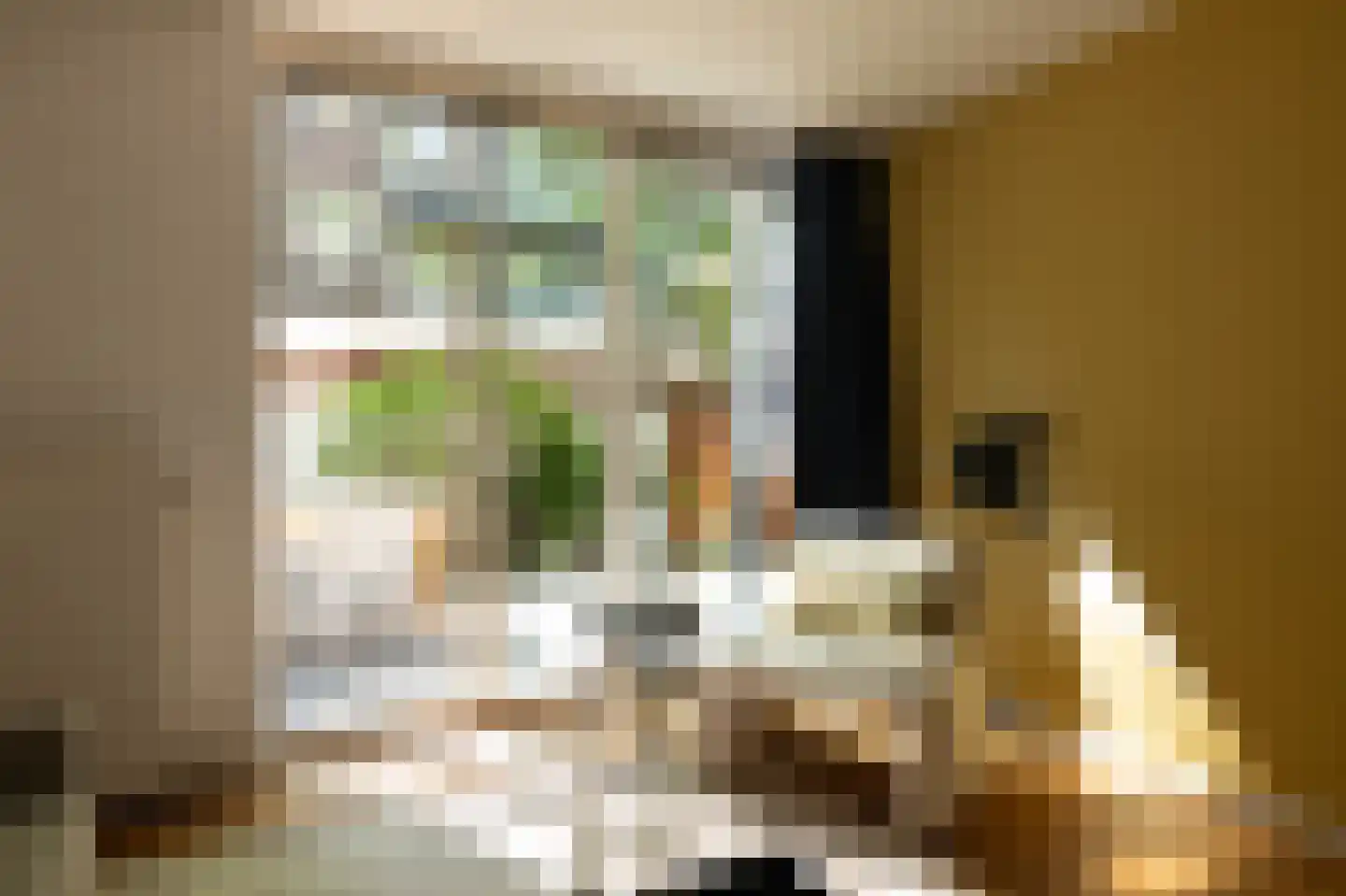 Tweede Schinkelstraat 23 A Amsterdam thumbnail 18