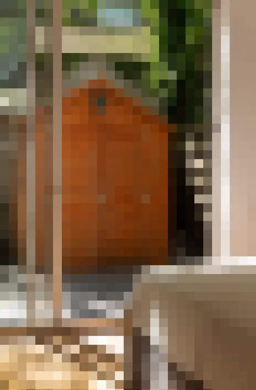 Tweede Schinkelstraat 23 A Amsterdam thumbnail 33