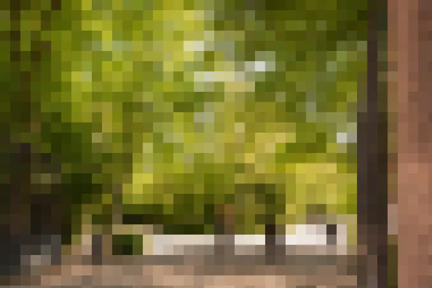 Tweede Schinkelstraat 23 A Amsterdam thumbnail 53