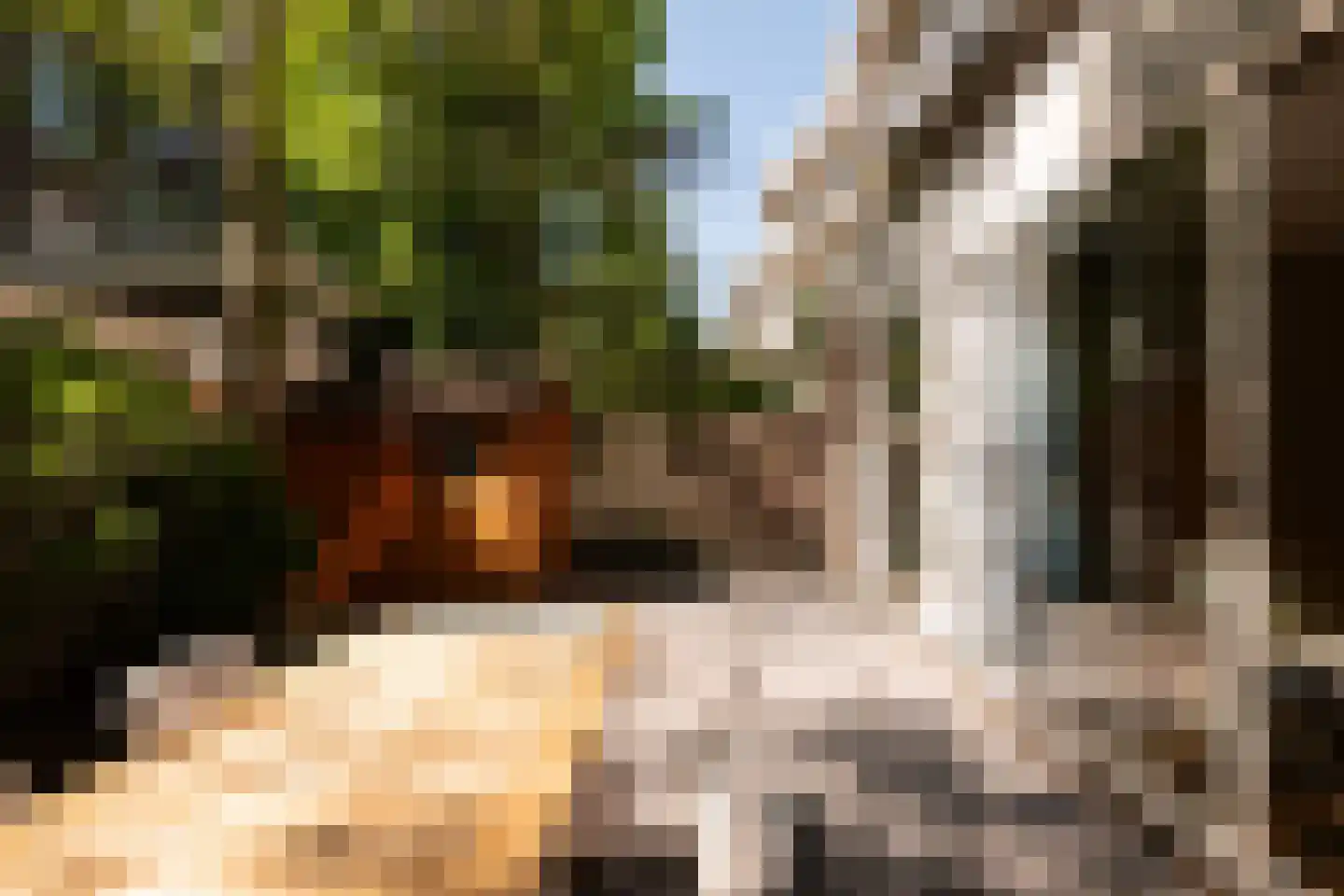 Tweede Schinkelstraat 23 A Amsterdam thumbnail 9