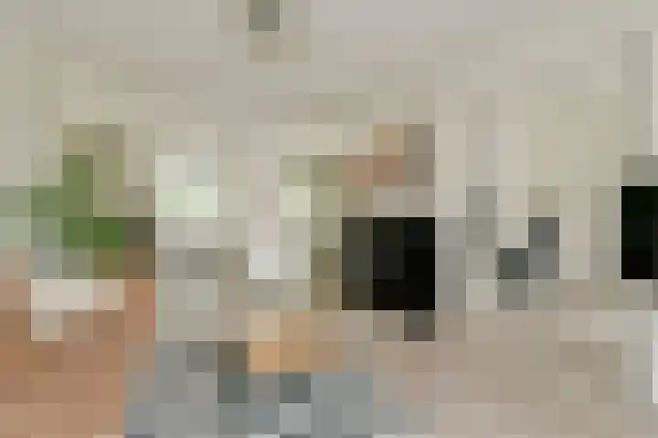 Tweede Schinkelstraat 51 H Amsterdam thumbnail 15