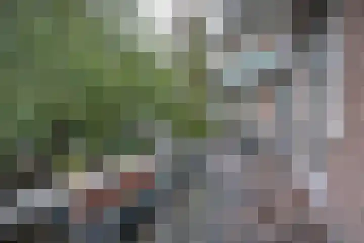 Tweede Schinkelstraat 51 H Amsterdam thumbnail 21