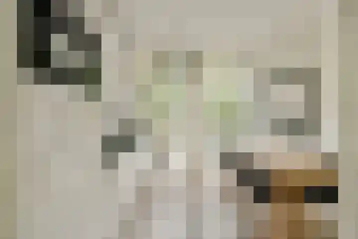 Tweede Schinkelstraat 51 H Amsterdam thumbnail 22