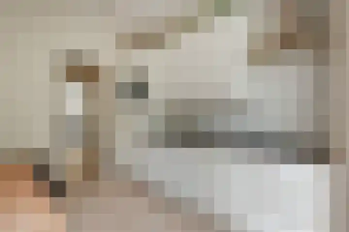 Tweede Schinkelstraat 51 H Amsterdam thumbnail 25