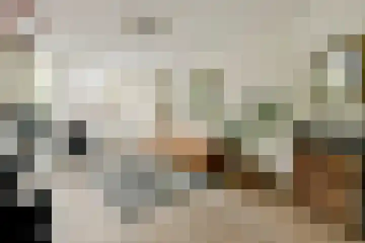 Tweede Schinkelstraat 51 H Amsterdam thumbnail 5