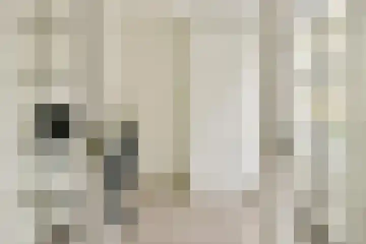 Tweede Schinkelstraat 51 H Amsterdam thumbnail 8