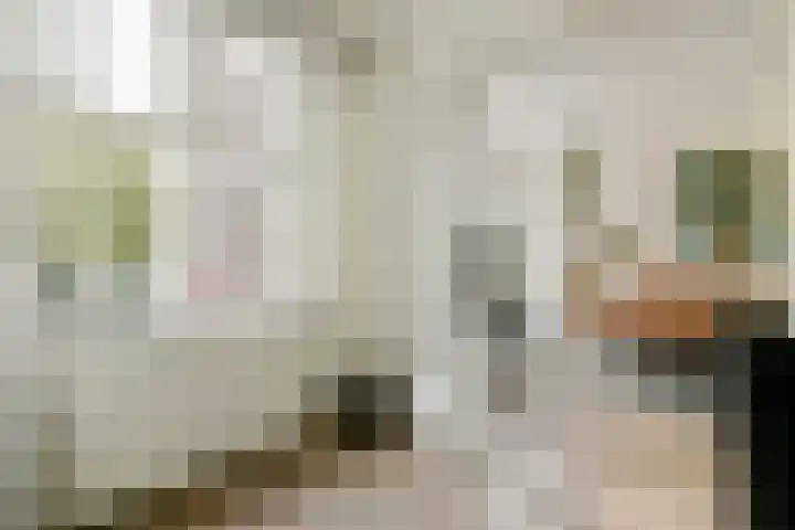 Tweede Schinkelstraat 51 H Amsterdam thumbnail 9