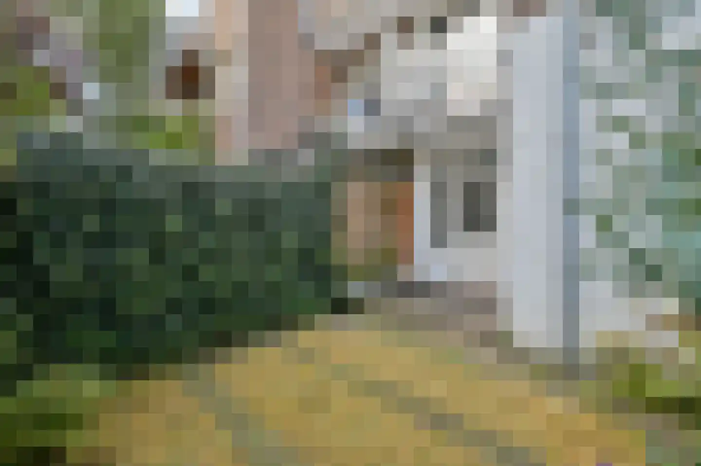 Tweede Schinkelstraat 9 H Amsterdam thumbnail 17