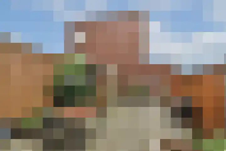 Tweede Schoolstraat 3 Gouda thumbnail 31