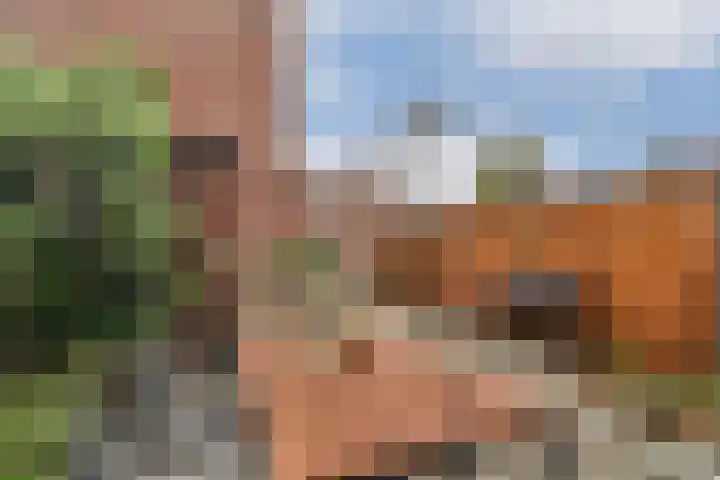 Tweede Schoolstraat 3 Gouda thumbnail 32
