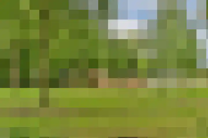 Tweede Schoolstraat 3 Gouda thumbnail 34