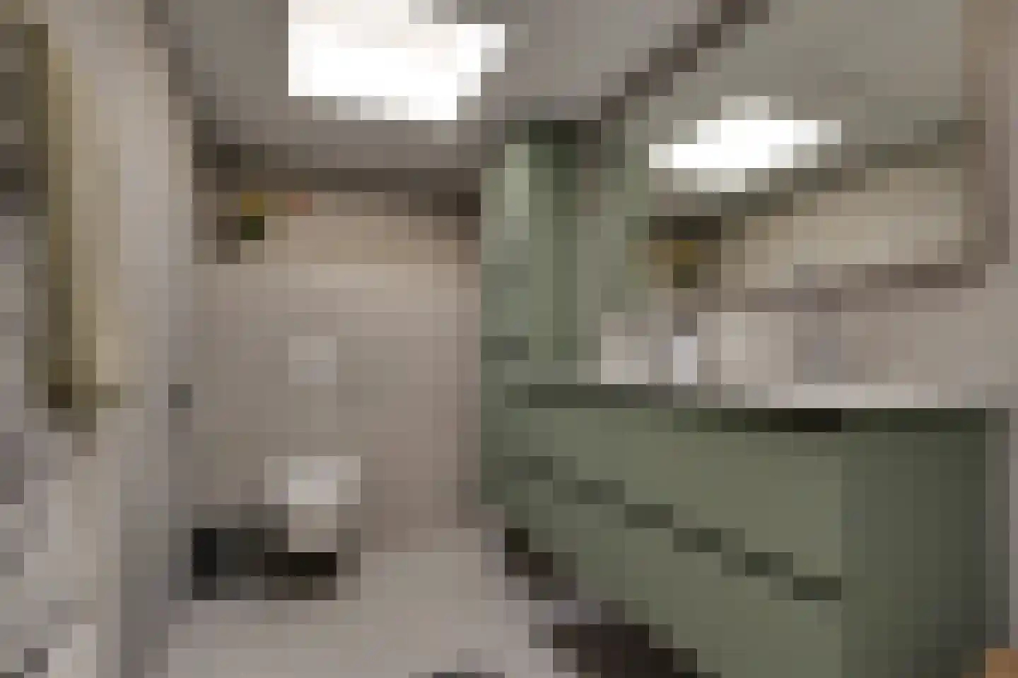 Tweede Spoorstraat 14 Groningen thumbnail 19