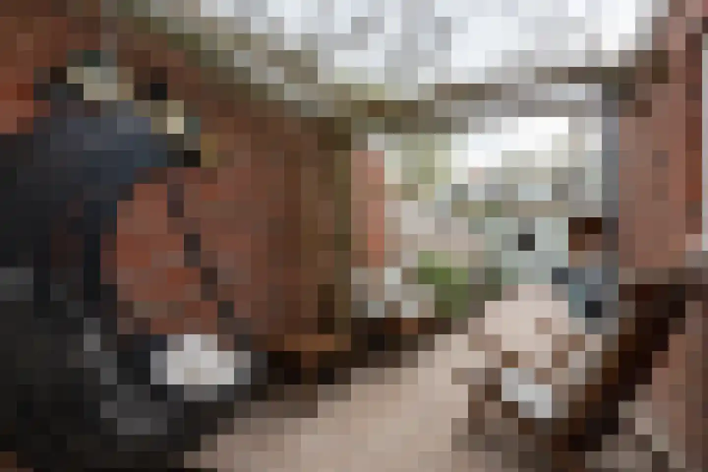 Tweede Spoorstraat 14 Groningen thumbnail 22