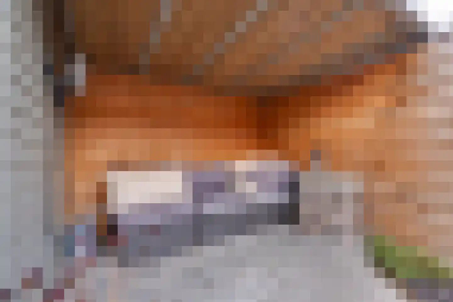 Tweede Spoorstraat 14 Groningen thumbnail 25