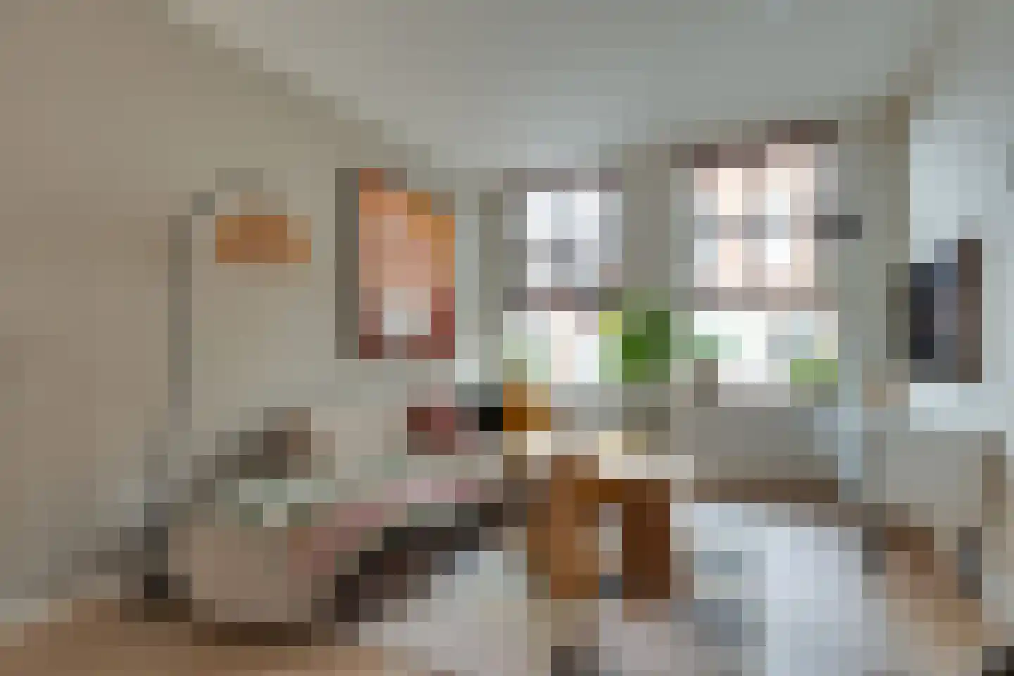 Tweede Spoorstraat 14 Groningen thumbnail 4