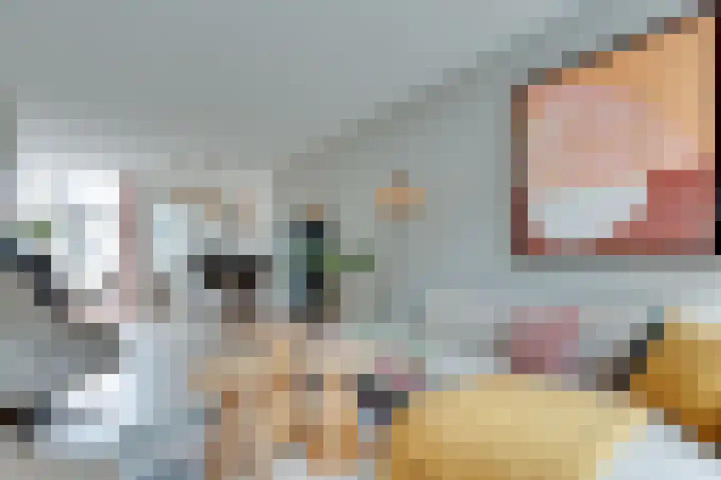 Tweede Spoorstraat 14 Groningen thumbnail 5