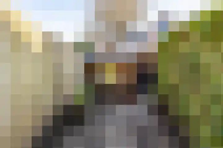 Tweede Spoorstraat 22 Groningen thumbnail 50