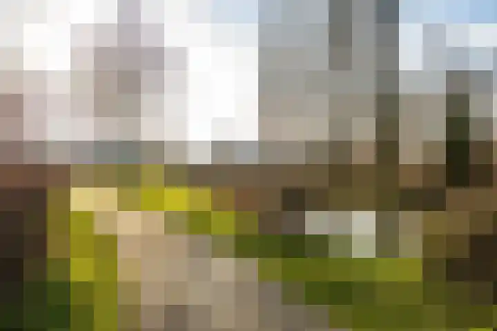 Tweede Spoorstraat 22 Groningen thumbnail 8