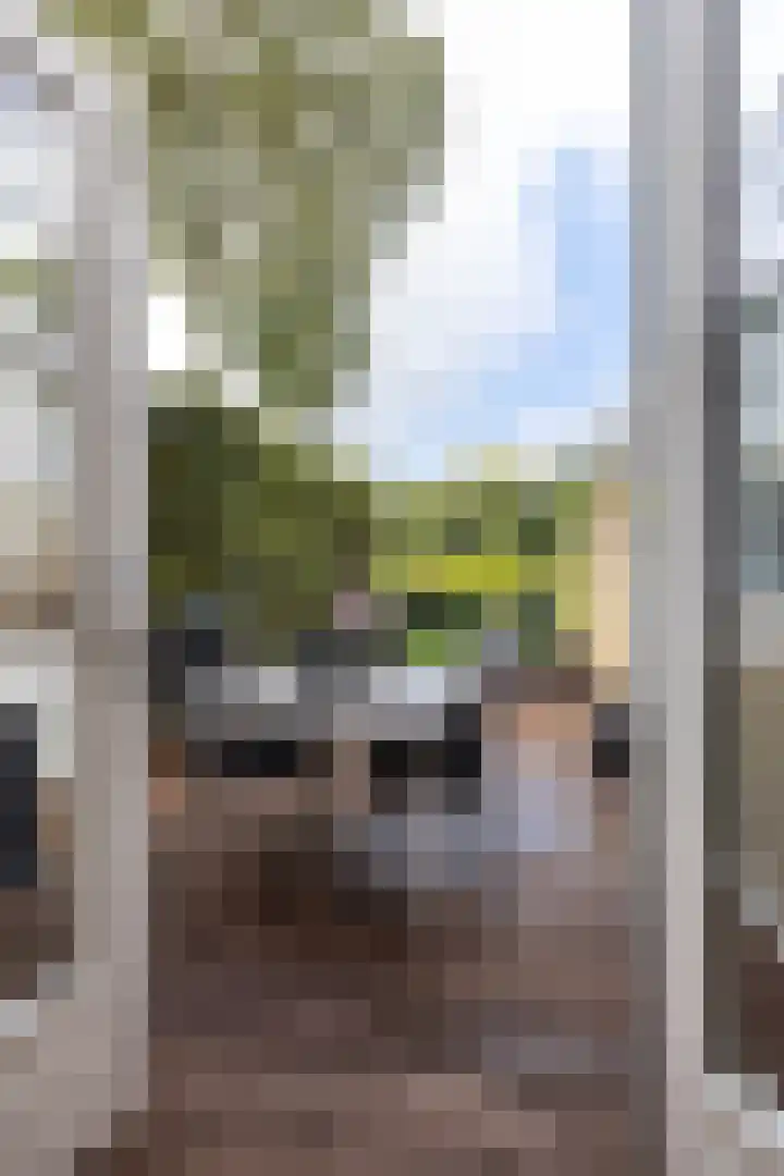 Tweede Spoorstraat 23 Groningen thumbnail 23