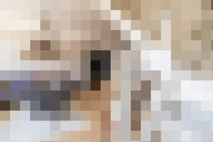 Tweede Spoorstraat 23 Groningen thumbnail 8