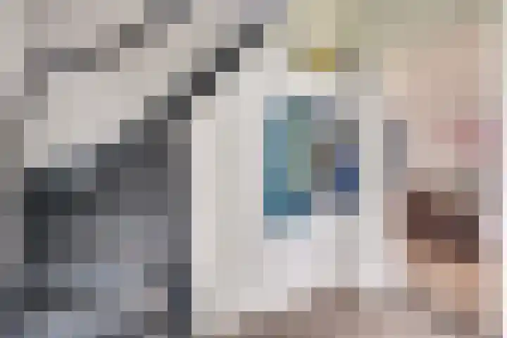 Tweede Stichting 3 Landhorst thumbnail 10