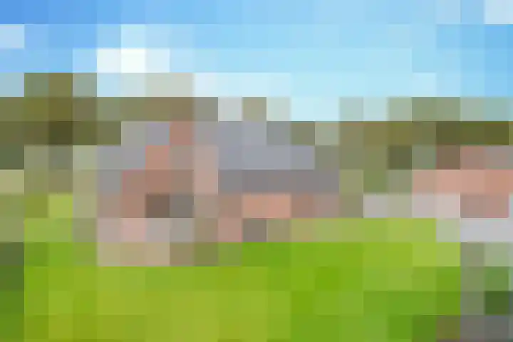 Tweede Stichting 3 Landhorst thumbnail 39