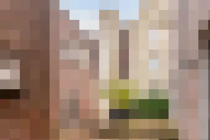 Tweede Straatje van Best 55 's-Hertogenbosch thumbnail 13