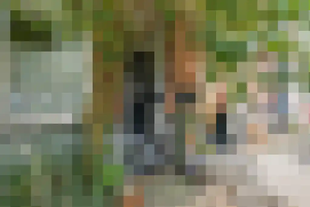 Tweede Sweelinckstraat 12 3 Amsterdam thumbnail 4