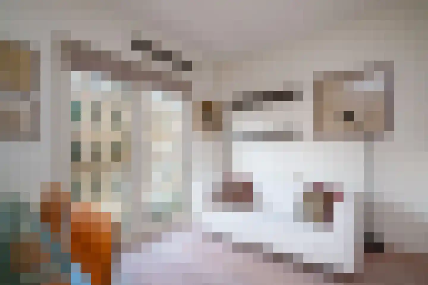 Tweede Sweelinckstraat 5 D Amsterdam thumbnail 8