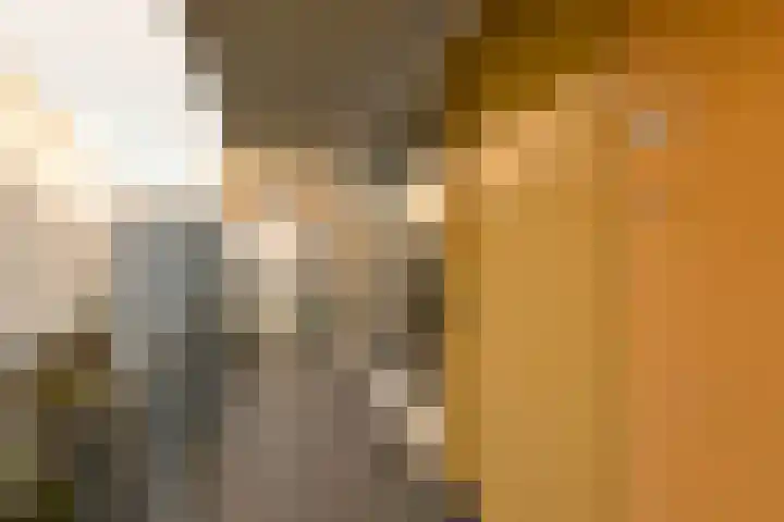 Tweede Sweelinckstraat 5 H Amsterdam thumbnail 31