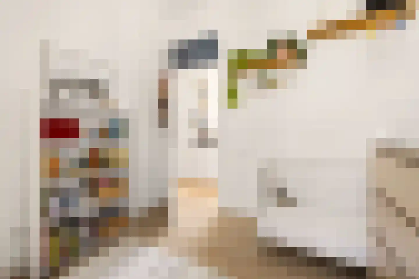 Tweede Sweelinckstraat 7 3 Amsterdam thumbnail 17