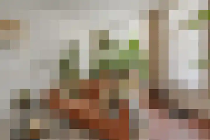 Tweede Sweelinckstraat 7 H Amsterdam thumbnail 15