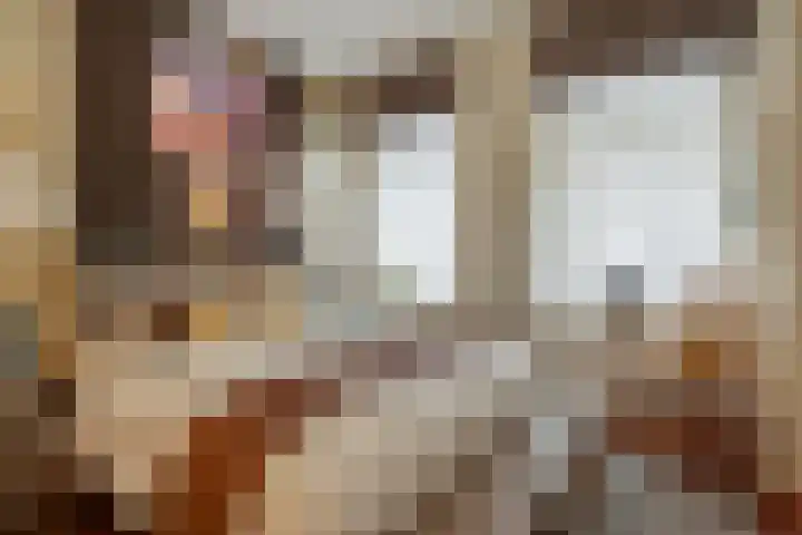 Tweede Sweelinckstraat 7 H Amsterdam thumbnail 32