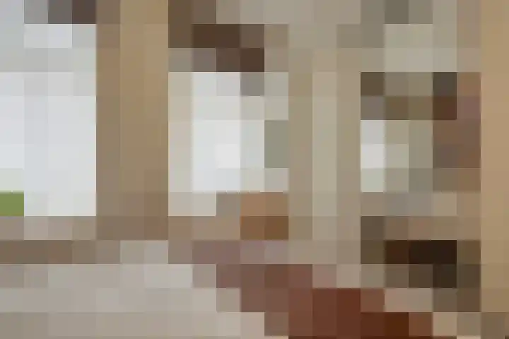 Tweede Sweelinckstraat 7 H Amsterdam thumbnail 33